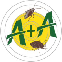 Accueil