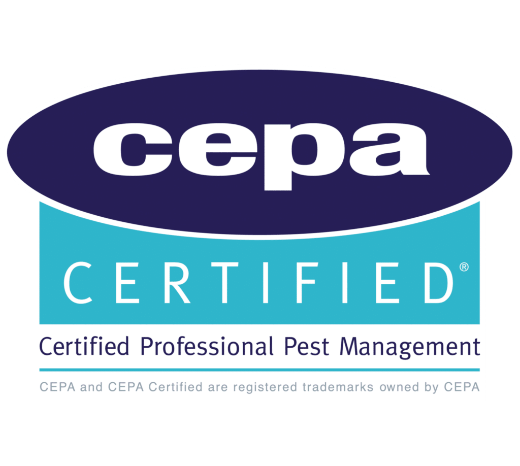 Cepa Picto